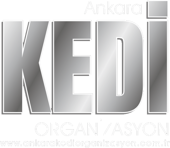 Ankara Kedi Organizasyon