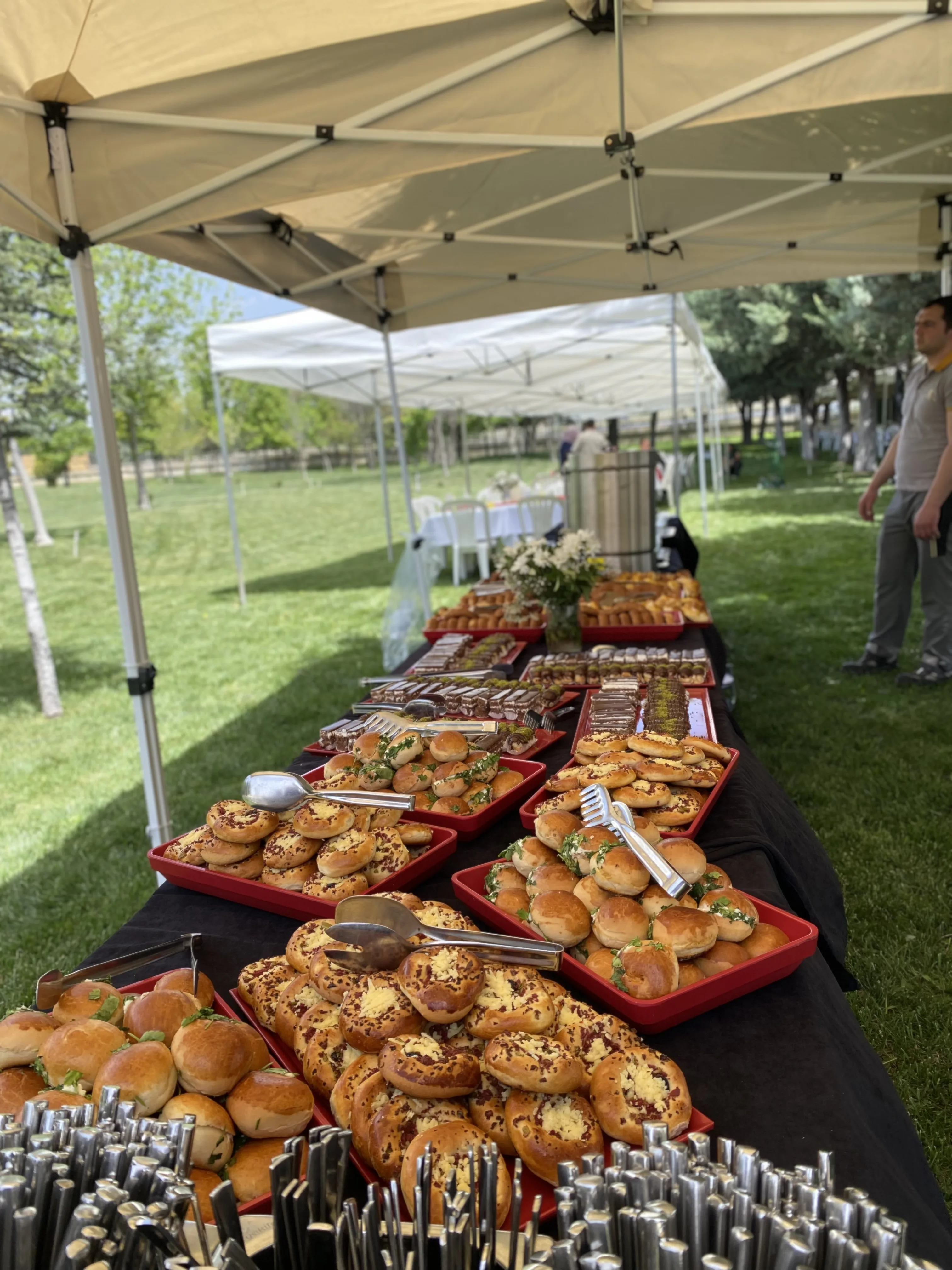Piknik Organizasyonu